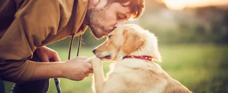 Happy man training with his dog in the nature